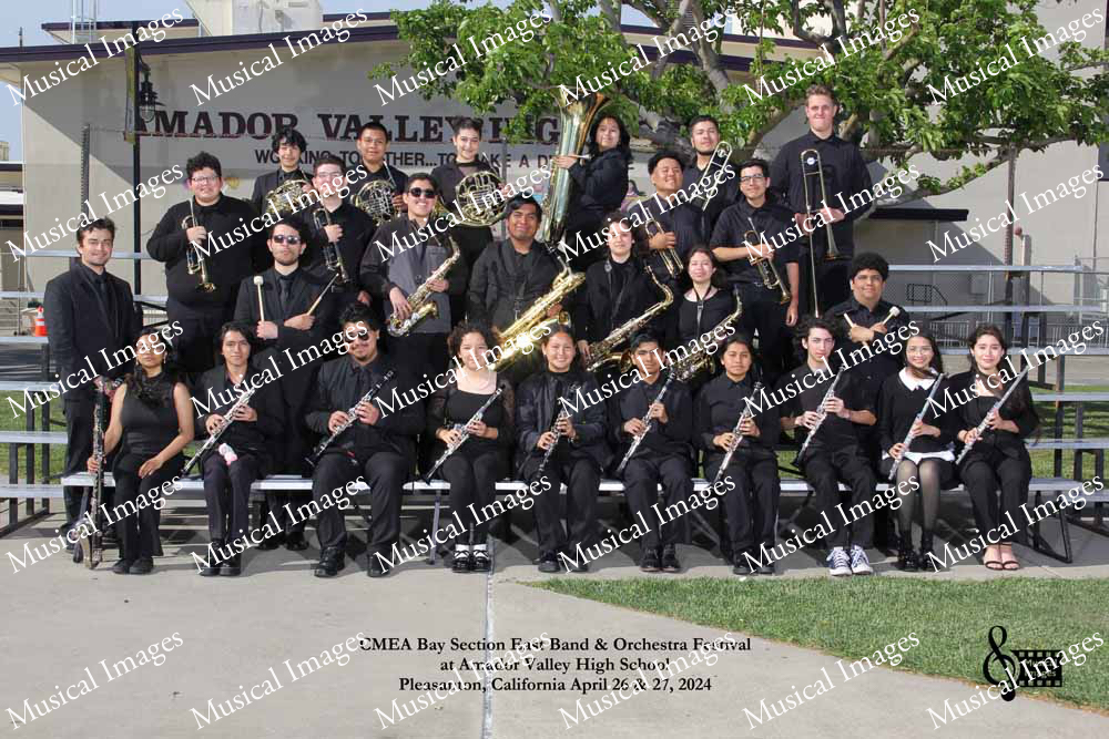 Musical Images